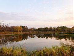 -东郊湿地公园
