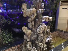 -五月花(朝阳南大街店)