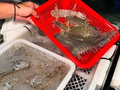-龚记海鲜20年老字号
