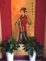 -紫琪尔·胸部养护护理