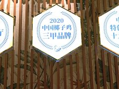 -润园四季椰子鸡火锅(欢乐海岸店)