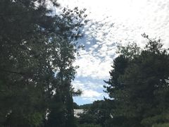 -香山公园-东宫门售票处