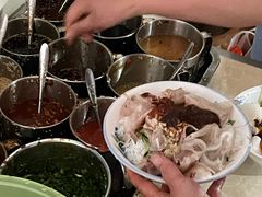 -邓氏大薄片