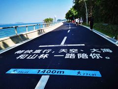-杨梅坑