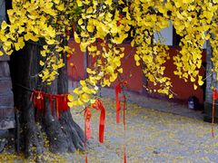 -金堂县云顶石城风景区