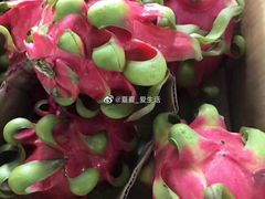 -西郊国际农产品交易中心