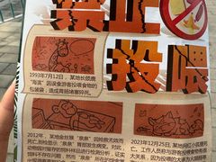 -武汉动物园