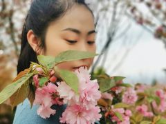 -湖南嵩云山国家森林公园