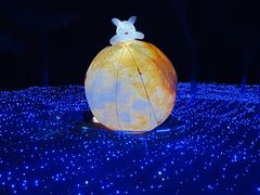 -青龙湖公园