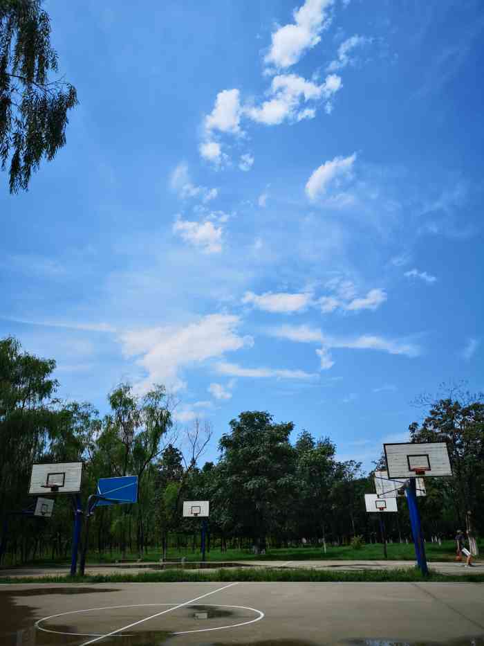 万丰公园-"位于六里桥万丰路西南侧的万丰公园是一家郊.