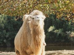 -杭州野生动物世界