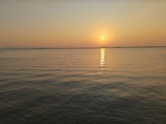 -芒洲湿地公园