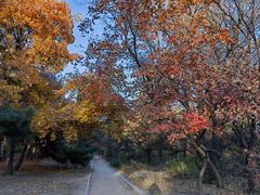 -长春市南湖公园