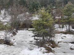 -普达措国家公园