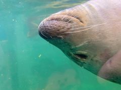 -青岛海底世界-水族馆