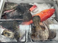 -潮信鱼头王(西环店)