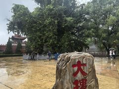 -大槐树寻根祭祖园