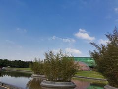-金陵图书馆