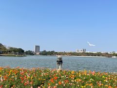 -顺峰山公园