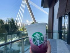 玫香葡萄茶云乌龙-星巴克(三亚海棠湾国际免税城店)