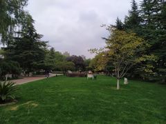 -金城公园
