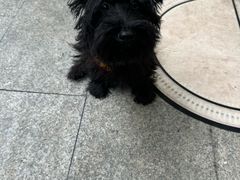 -仁信双皮奶(庙前直街店)