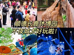 -长鹿旅游休博园