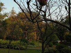 -晓港公园