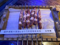 锡林郭勒现穿羔羊肉串-三个蒙古大叔羊肉串(大宁店)