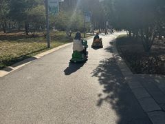 -五环公园