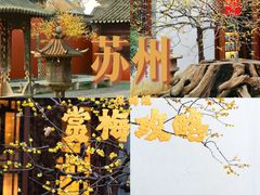 -拙政园