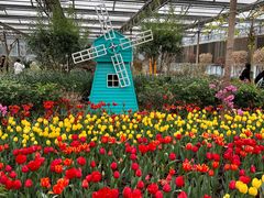 -南宫五洲植物乐园