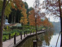 -重庆彩云湖湿地公园