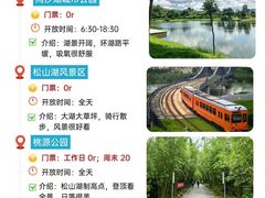 -东莞市大岭山森林公园
