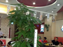 大堂-李先生牛肉面大王(营口大润发店)
