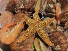 -悦海·家宴·冰花皮皮虾大锅贴(宝龙店)