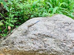 -碓臼峪自然风景区