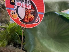 -新辣道鱼火锅(西直门店)