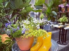 -PlantsEatery·植物食堂(REX春熙店)