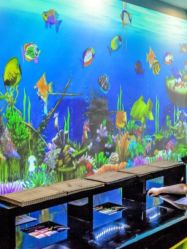 -酷嗒动物文化乐园(cutezoo西溪乐天城店)