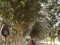 -武汉紫薇都市田园