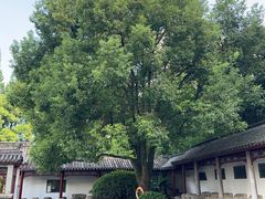 -采石矶-马鞍山太白楼