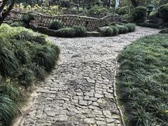 -秋霞圃