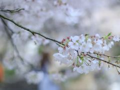 -杭州少年儿童公园