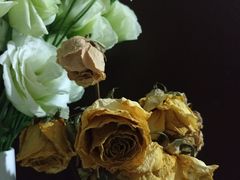 -秦美花卉(天朗·莱茵小城2期店)