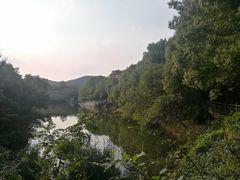 -白马涧龙池景区