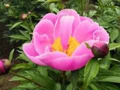 -合肥三国新城遗址公园