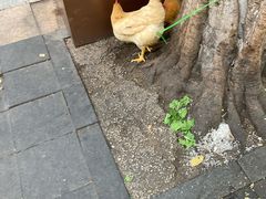 -顺兴面店(领展购物广场西区店)