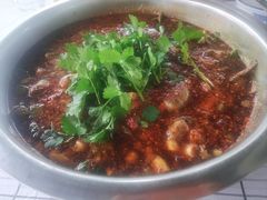 -彭大姐老店黄辣丁(新津店)