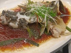 清蒸笋壳鱼-新南华大酒店(广中店)